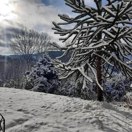 Wegfreiheit Ii Apartment *