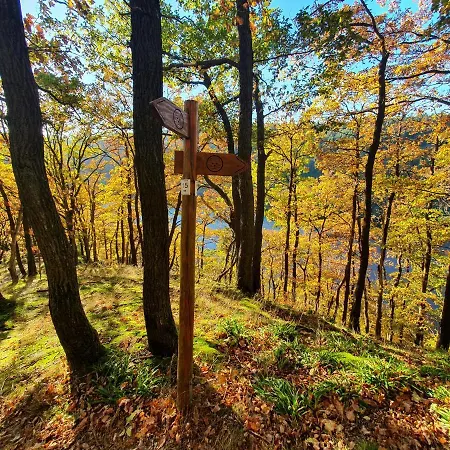 Wegfreiheit Ii Apartment *