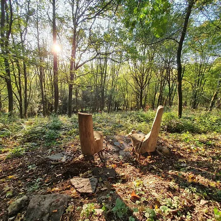 Wegfreiheit Ii Simmerath