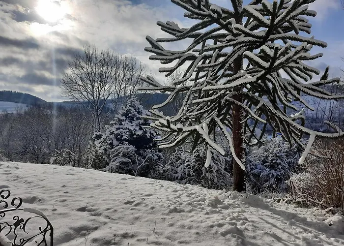 Wegfreiheit Ii Daire *