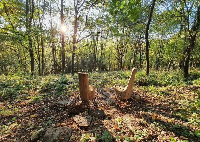 Wegfreiheit Ii Simmerath